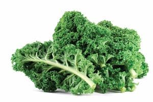 Frozen Kale - 12/3 lb Case 2